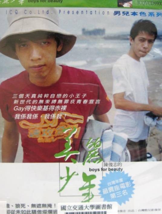 美丽少年