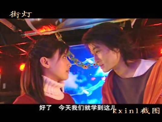 街灯(2003年许绍洋主演电视剧)