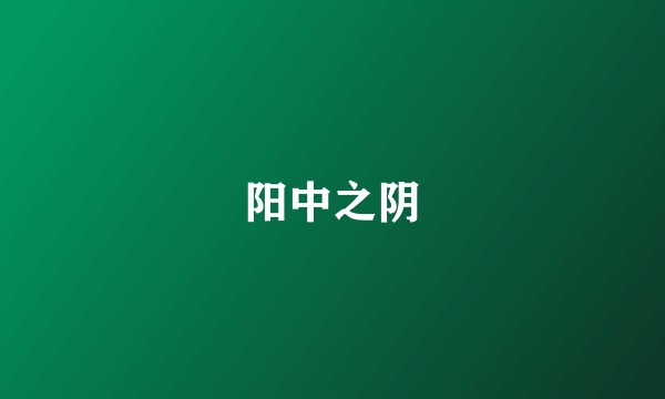 阳中之阴