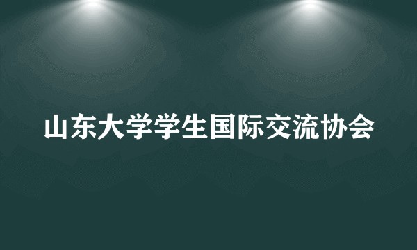 山东大学学生国际交流协会