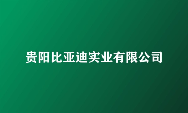 贵阳比亚迪实业有限公司