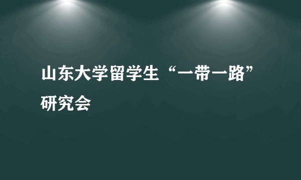 山东大学留学生“一带一路”研究会