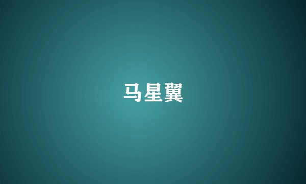 马星翼