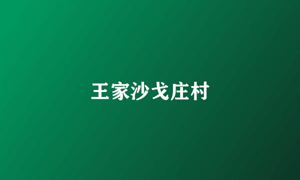 王家沙戈庄村