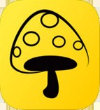 蘑菇丁