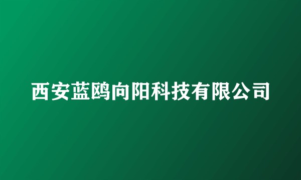 西安蓝鸥向阳科技有限公司