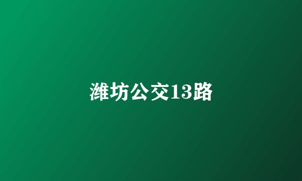 潍坊公交13路