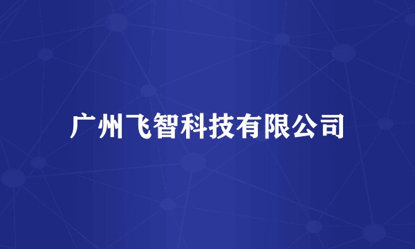 广州飞智科技有限公司