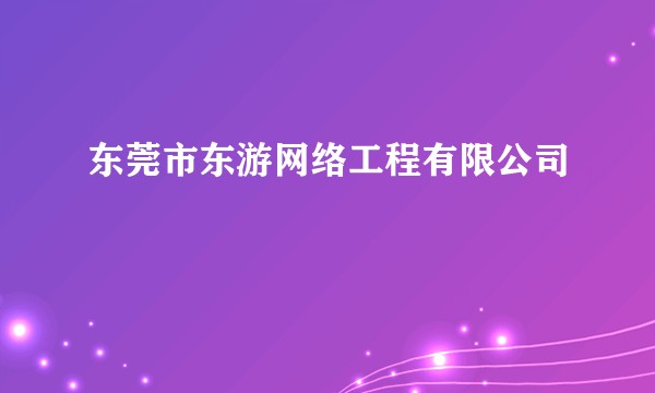 东莞市东游网络工程有限公司