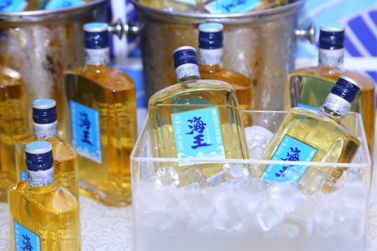 椰岛海王酒