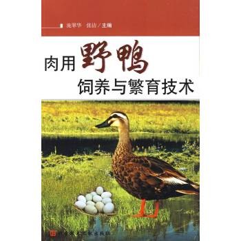 肉用大雁养殖与繁育技术