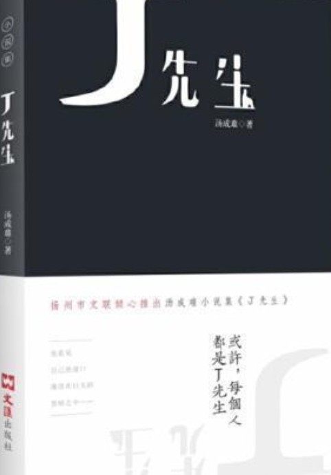 先生（王开林著书籍）