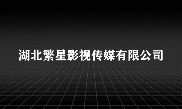 湖北繁星影视传媒有限公司