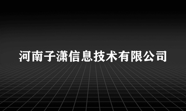 河南子潇信息技术有限公司