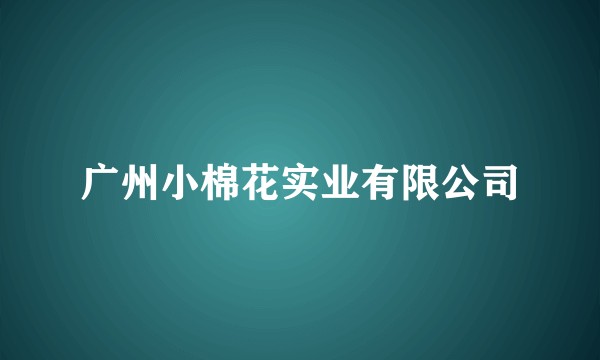 广州小棉花实业有限公司