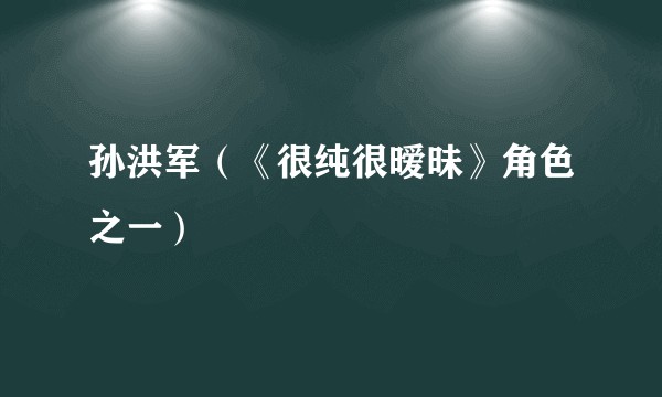孙洪军（《很纯很暧昧》角色之一）