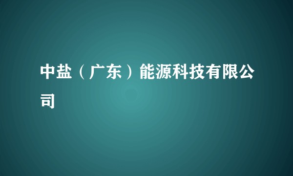 中盐(广东)能源科技有限公司