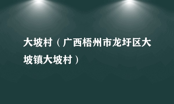 大坡村（广西梧州市龙圩区大坡镇大坡村）
