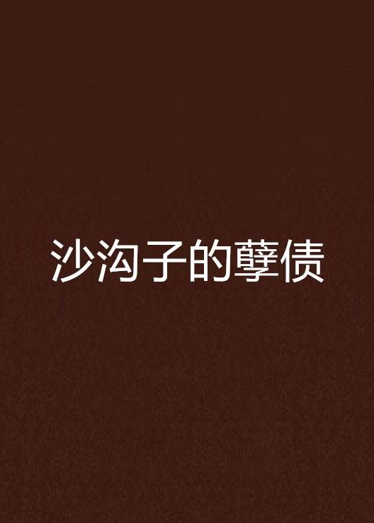沙沟子的孽债