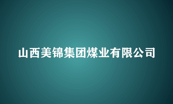 山西美锦集团煤业有限公司