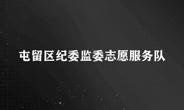 屯留区纪委监委志愿服务队