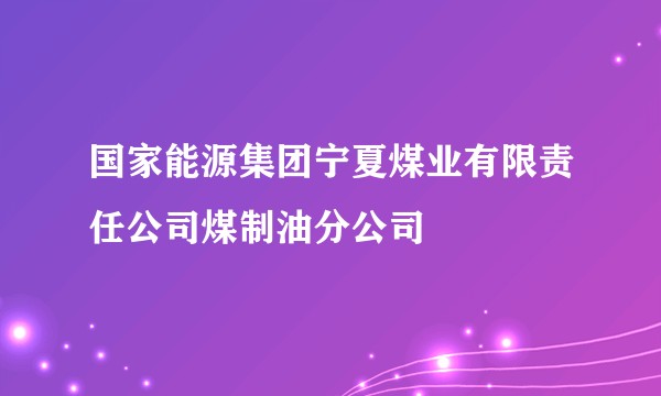 国家能源集团宁夏煤业有限责任公司煤制油分公司