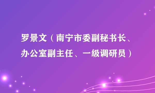 罗景文（南宁市委副秘书长、办公室副主任、一级调研员）