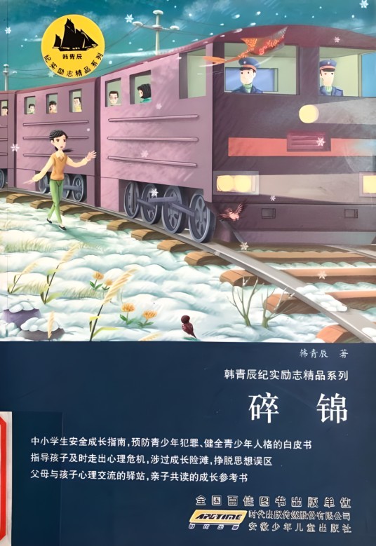韩青辰纪实励志精品系列：碎锦