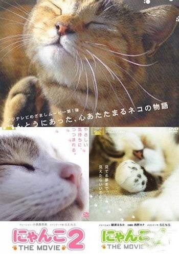 猫咪物语（日本2006年富士电视台以猫为题材的纪录片）