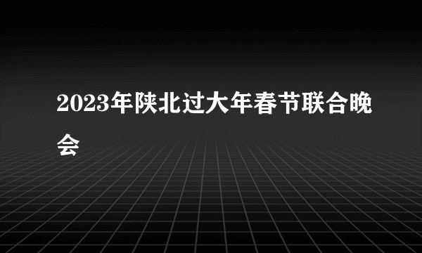 2023年陕北过大年春节联合晚会