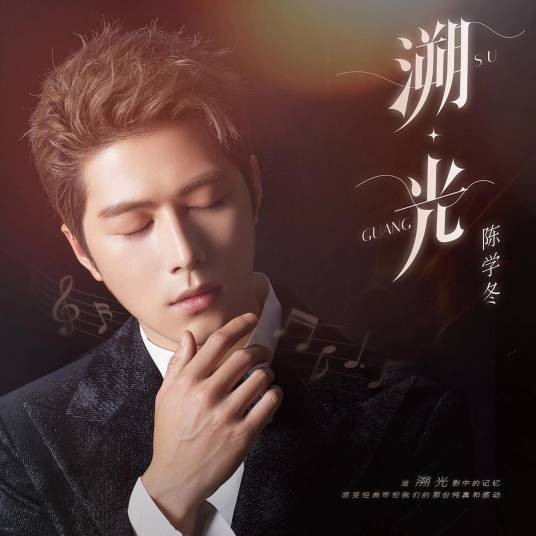 弹起我心爱的土琵琶（陈学冬演唱的歌曲）