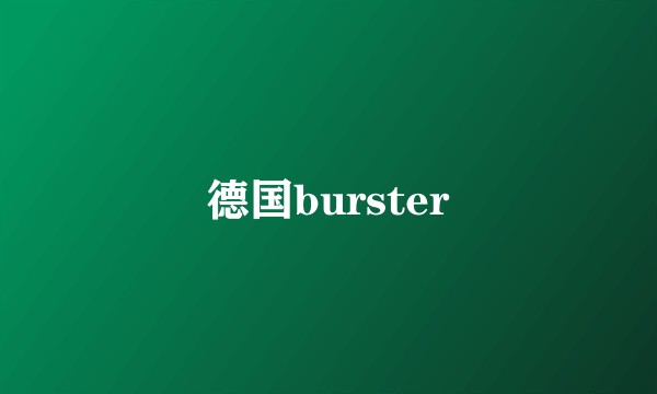 德国burster