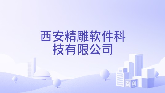 西安精雕软件科技有限公司