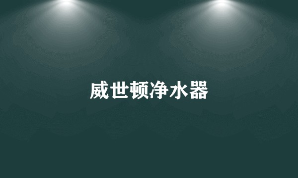 威世顿净水器