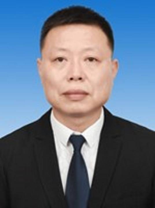 胡鑫宇（山西省晋中市灵石县委副书记）