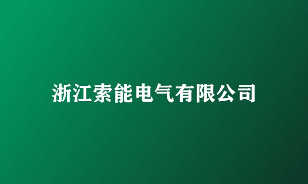 浙江索能电气有限公司
