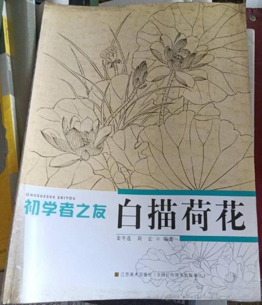 初学者之友-白描荷花