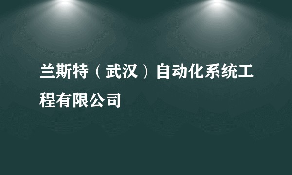 兰斯特（武汉）自动化系统工程有限公司
