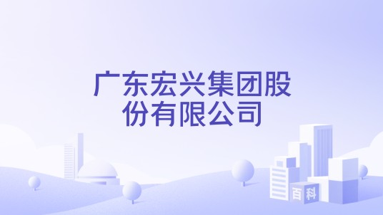 广东宏兴集团股份有限公司