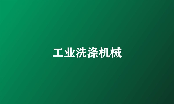 工业洗涤机械
