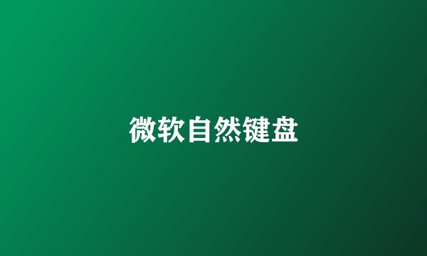 微软自然键盘