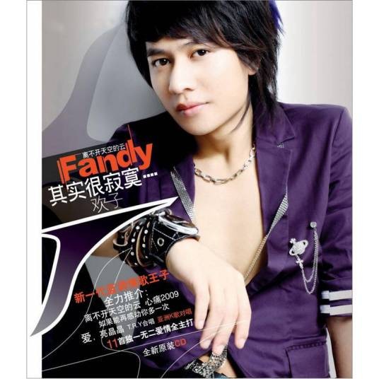 其实很寂寞（2009年欢子音乐专辑）
