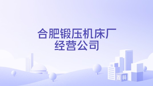 合肥锻压机床厂经营公司
