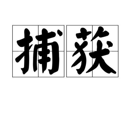 捕获（汉语词汇）