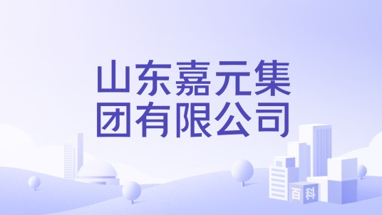 山东嘉元集团有限公司