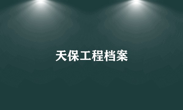 天保工程档案