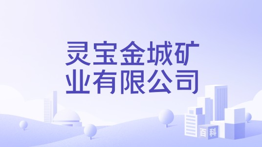 灵宝金城矿业有限公司