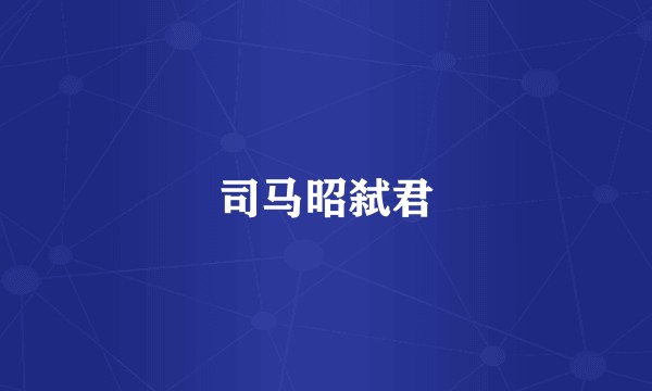 司马昭弑君
