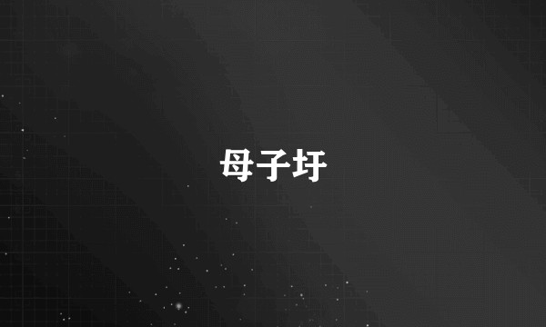 母子圩