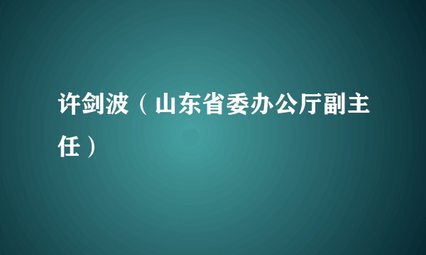 许剑波（山东省委办公厅副主任）